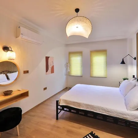 Nodus Tollens * Kaş